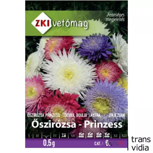 ZKI Őszirózsa Prinzess színkeverék (ZKI-50-051)