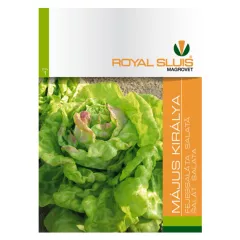 Royal Sluis saláta Május Királya 2.5g